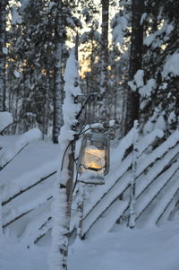 Close-up of lantern in winter