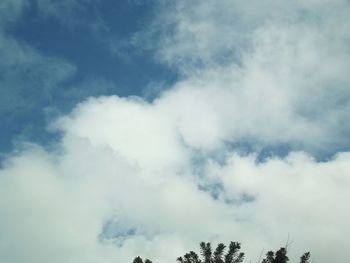 Low angle view of trees against sky