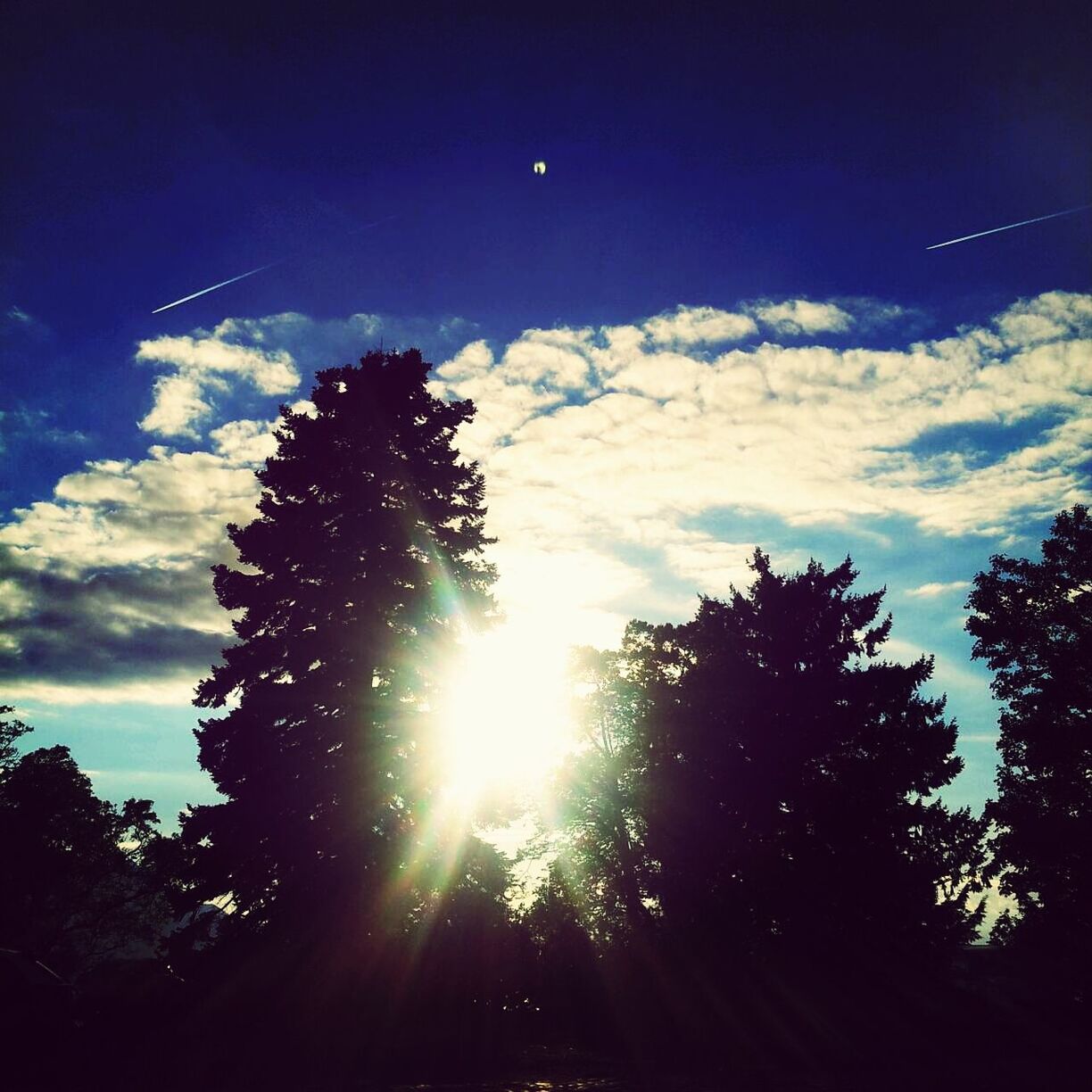 tree, low angle view, sky, silhouette, sun, tranquility, beauty in nature, sunlight, sunbeam, nature, scenics, cloud - sky, tranquil scene, growth, lens flare, blue, cloud, outdoors, no people, treetop