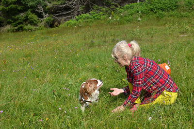 View of a dog on landscape