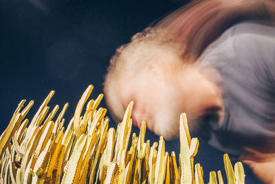 Close-up of human skeleton