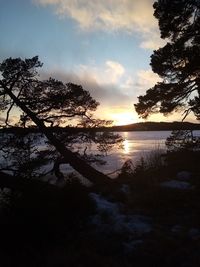 Silhouette trees by lake against sky during sunset