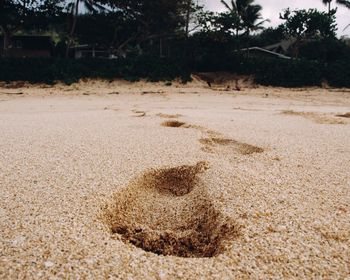 Sand on beach