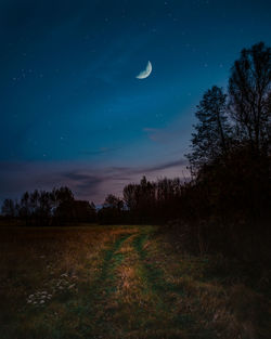 Scenic view of field against sky at night