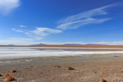 Scenic view of beach against blue sky