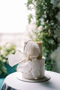 Close-up of wedding rings on table