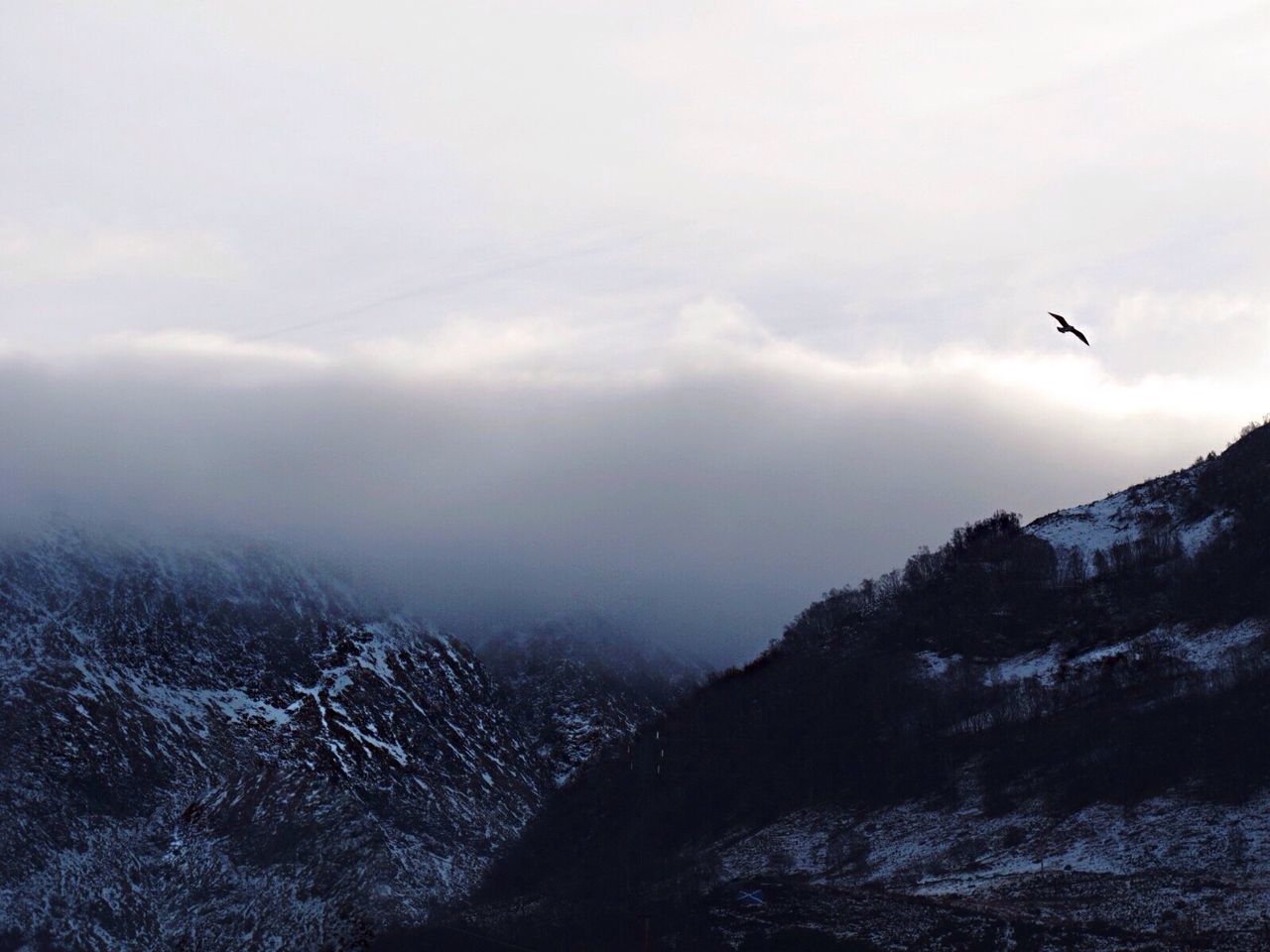 mountain, flying, bird, sky, scenics, tranquil scene, tranquility, beauty in nature, snow, mountain range, nature, weather, winter, landscape, cloud - sky, cold temperature, animal themes, mid-air, non-urban scene, outdoors