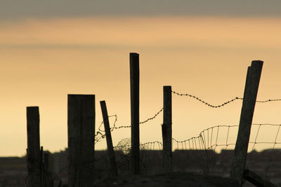 Barbed wire fence at sunset