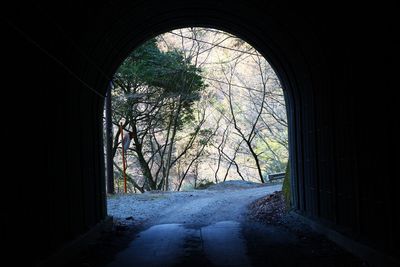 View of trees through window