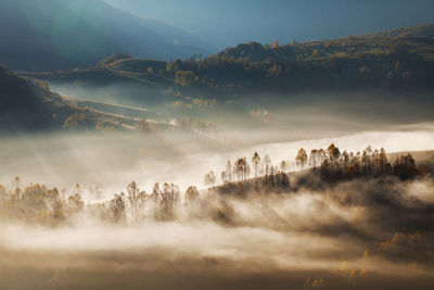 Scenic view of trees on foggy landscape against sky