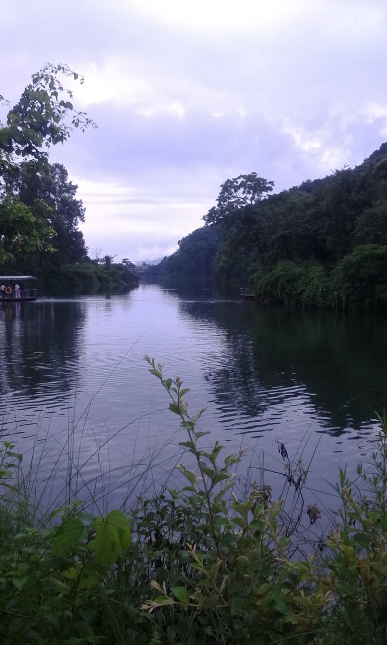 water, lake, tree, sky, tranquil scene, tranquility, reflection, scenics, beauty in nature, nature, cloud - sky, lakeshore, cloud, river, growth, mountain, idyllic, non-urban scene, calm, plant