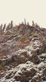 Scenic view of snow covered landscape