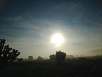 Scenic view of grassy field against sky at sunset