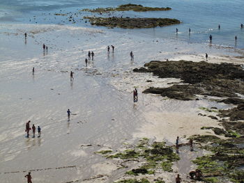 High angle view of people on beach