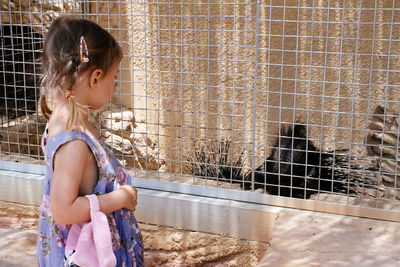 Child at the zoo watching animals. girl near the porcupine cage in summer. toddler kid learning