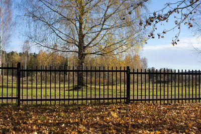 Trees growing on field against sky during autumn