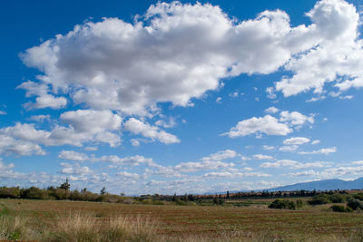 Scenic view of field against sky