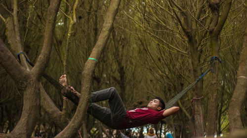 Man climbing hanging on tree trunk in forest