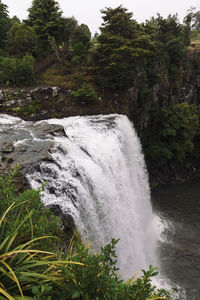 Scenic view of waterfall in forest