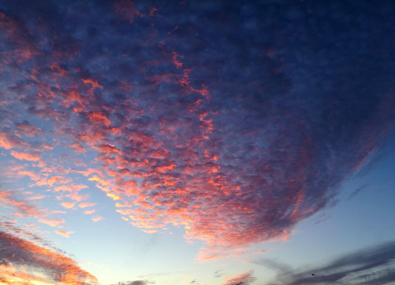 sky, cloud - sky, beauty in nature, orange color, sunset, nature, no people, low angle view, scenics - nature, tranquility, tranquil scene, outdoors, dramatic sky, idyllic, red, environment, non-urban scene, dusk, motion, romantic sky