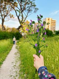 Cropped hand of woman holding flowers