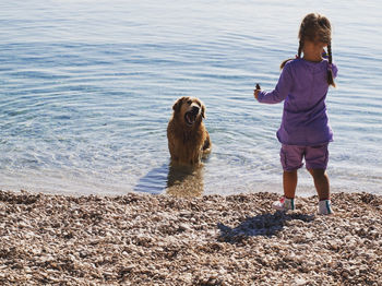Little girl standing on beach with dog