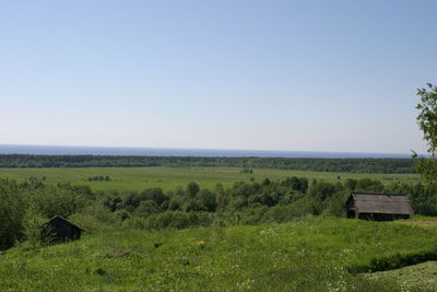 Scenic view of field against clear sky