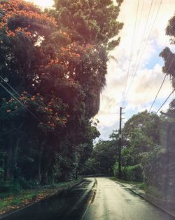 Empty road along trees