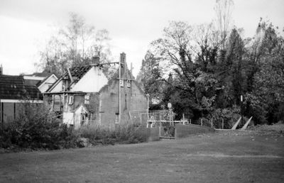 Trees and houses on field against sky