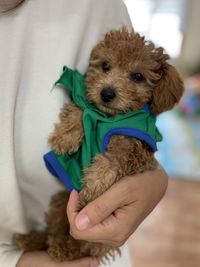 Midsection of woman with dog