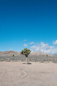 Scenic view of desert against clear blue sky