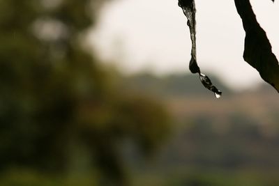 Close-up of water drops on glass