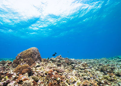 Rocks against blue sky