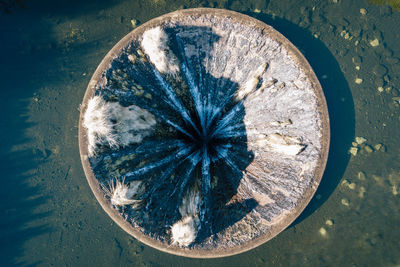 Close up of leaf