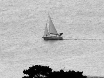 Boats sailing in sea