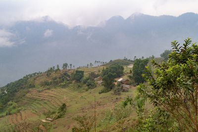 Scenic view of landscape against sky