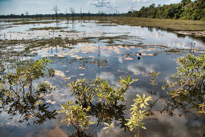 Scenic view of lake