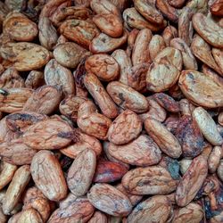 Dry cocoa beans