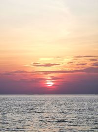 Pink sunset along the sea