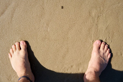 Low section of man feet on sand