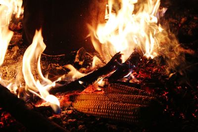 Close-up of bonfire at night