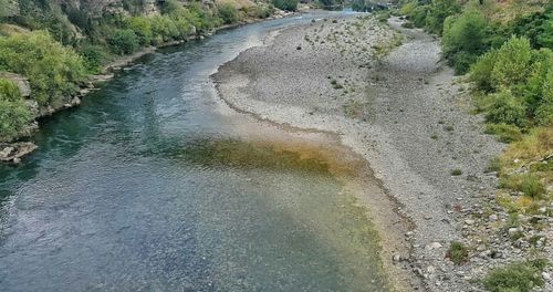 High angle view of trees along water