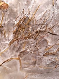 Close-up of rock formations