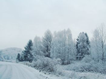 Trees on snow covered landscape against sky