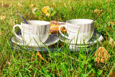 High angle view of coffee on field