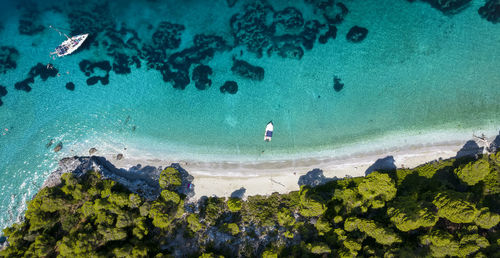 High angle view of man swimming in sea