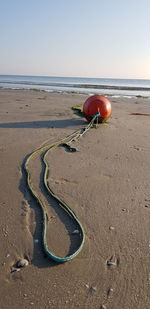 Driftwood on sand at beach against clear sky