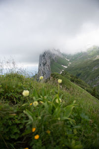 Scenic view of land against sky