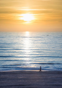 Silhouette man walking on shore at beach against sky during sunset