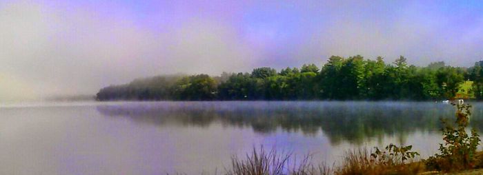 Reflection of trees in lake